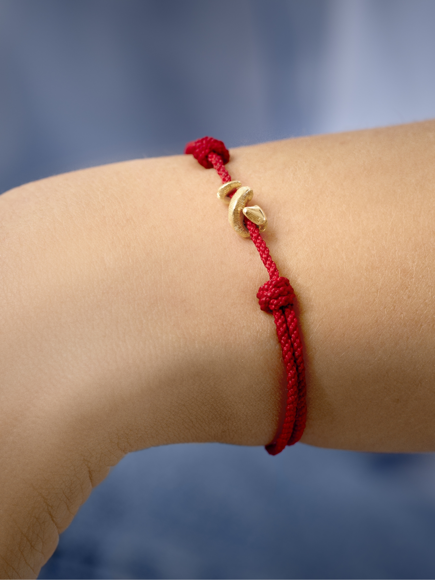 Celebrating | Story | Ole Lynggaard